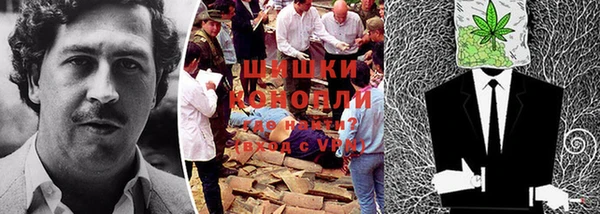 ПСИЛОЦИБИНОВЫЕ ГРИБЫ Абдулино