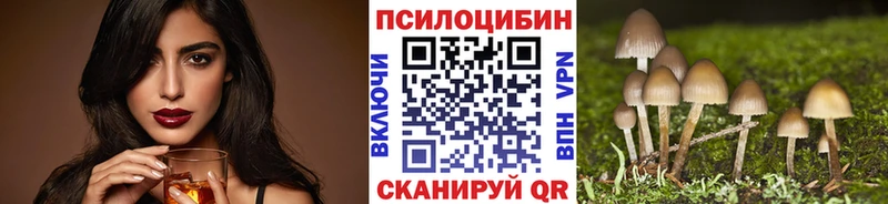 дарнет шоп  Гдов  Псилоцибиновые грибы Magic Shrooms 