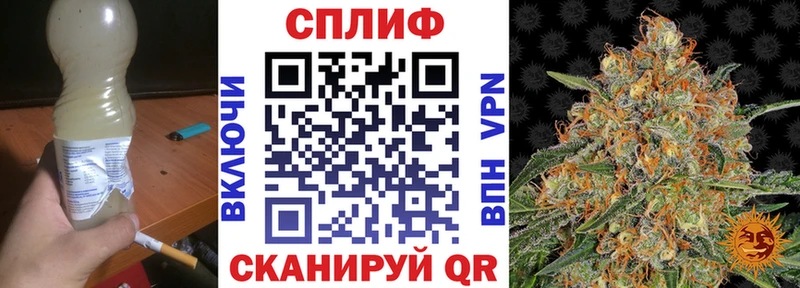 где продают наркотики  МЕГА   Шишки марихуана планчик  Гдов 